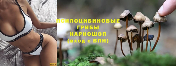 амфетамин Алексин